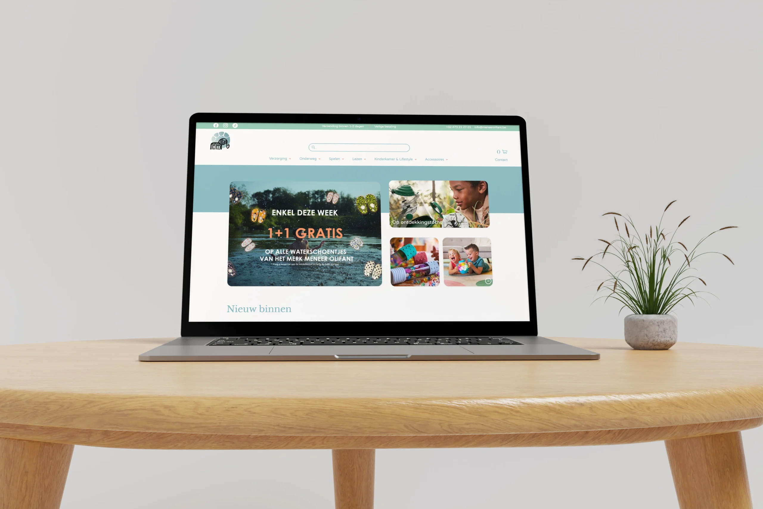 mock-up meneer olifant website