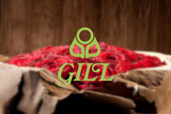 Bloemen Gill - Assistu project